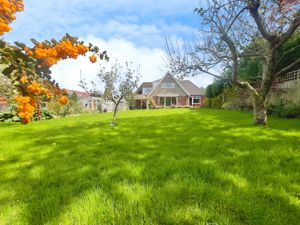 Photo 24- click for photo gallery